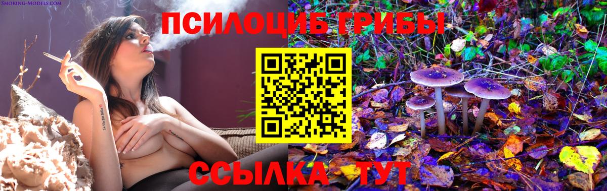 Камышлов  Псилоцибиновые грибы Psilocybine cubensis  Вход с VPN  Псилоцибиновые грибы Cubensis 