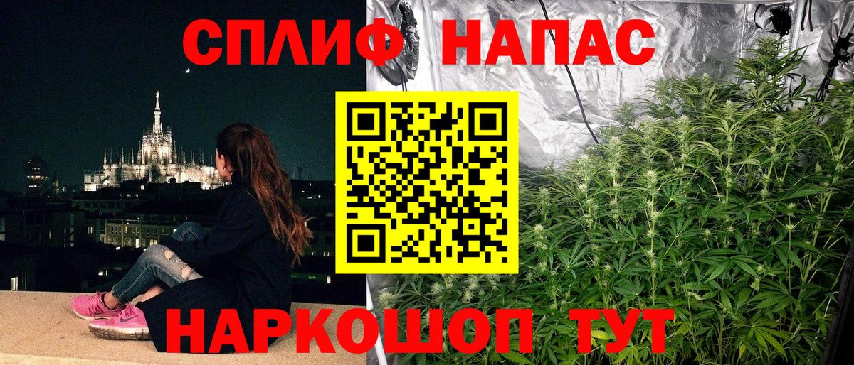 Бошки Шишки конопля Камышлов